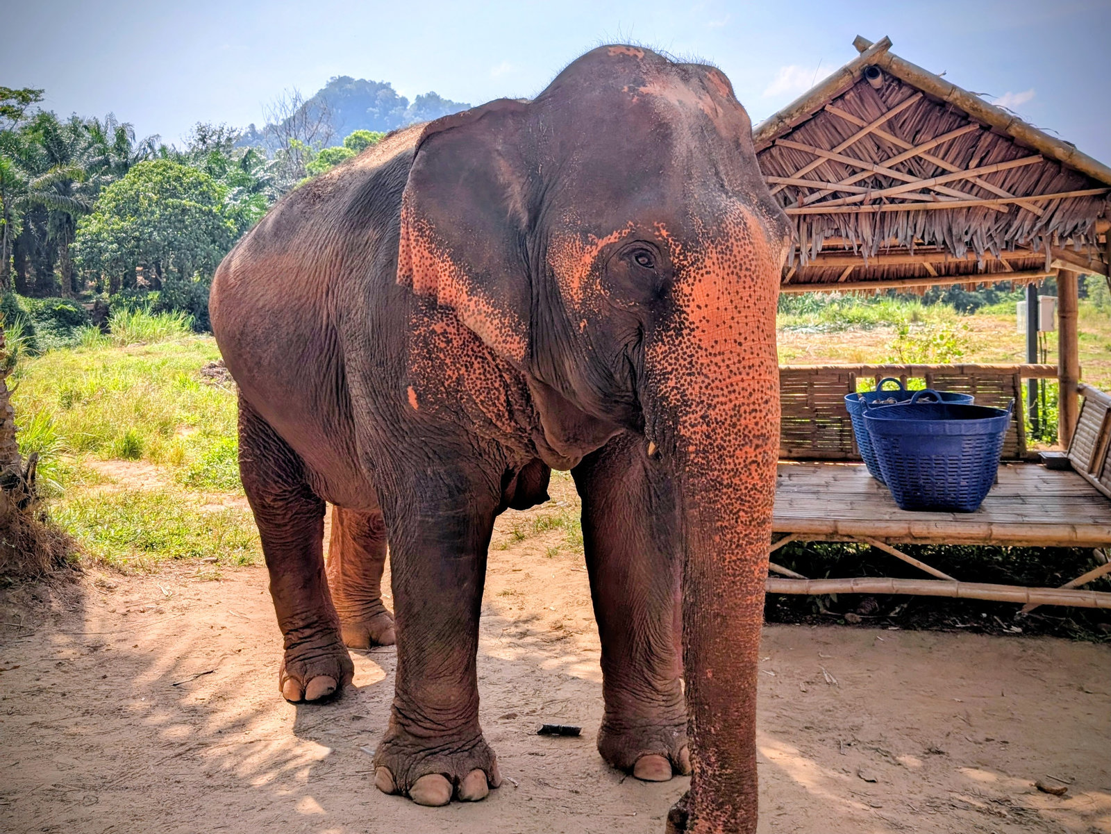 PXL_20251211_041742349~3