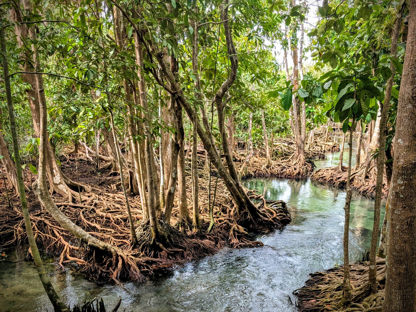 PXL_20251213_030227948~2