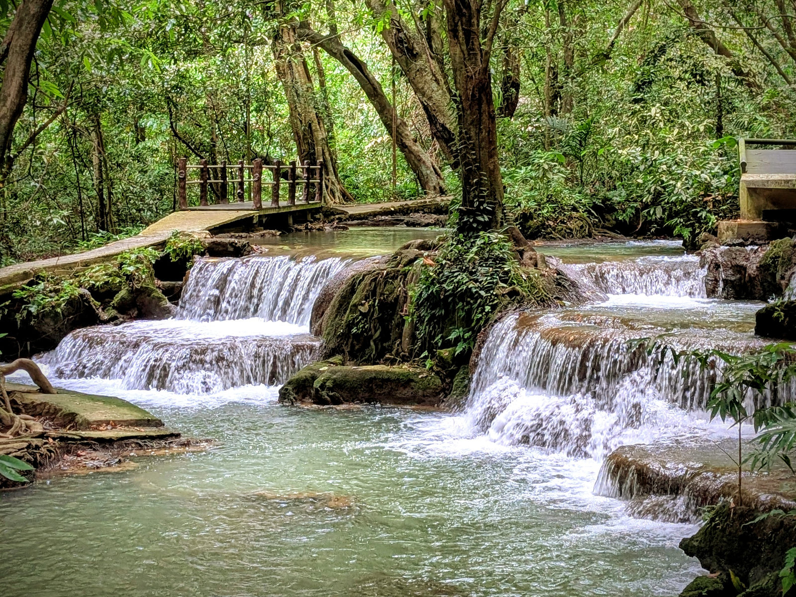 PXL_20251213_043208889~2