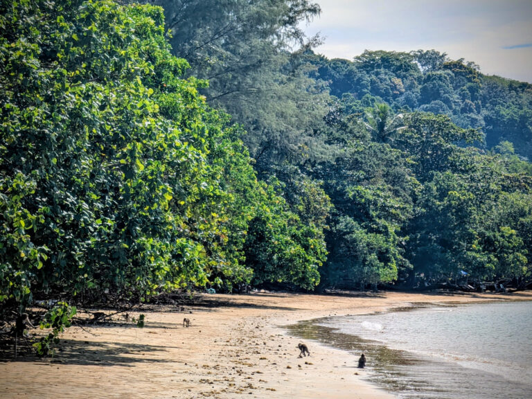 PXL_20251219_034228707~3