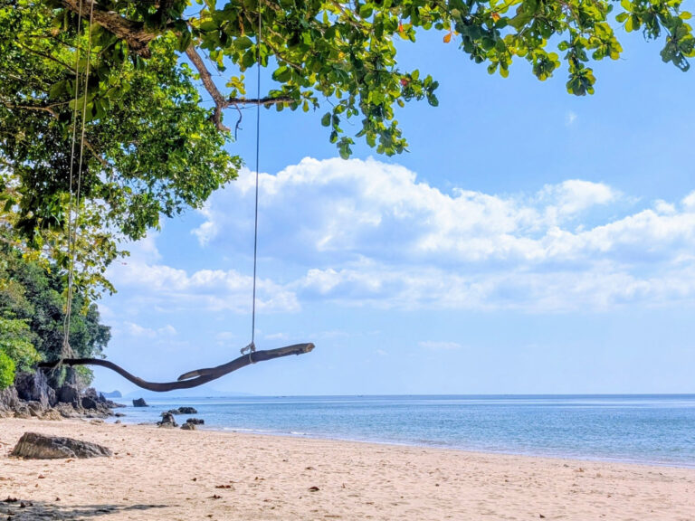 PXL_20251229_065854875~4